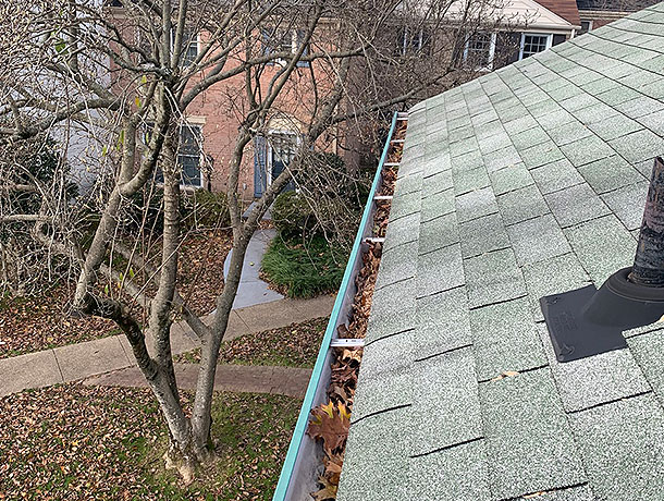 Before Gutter Cleaning