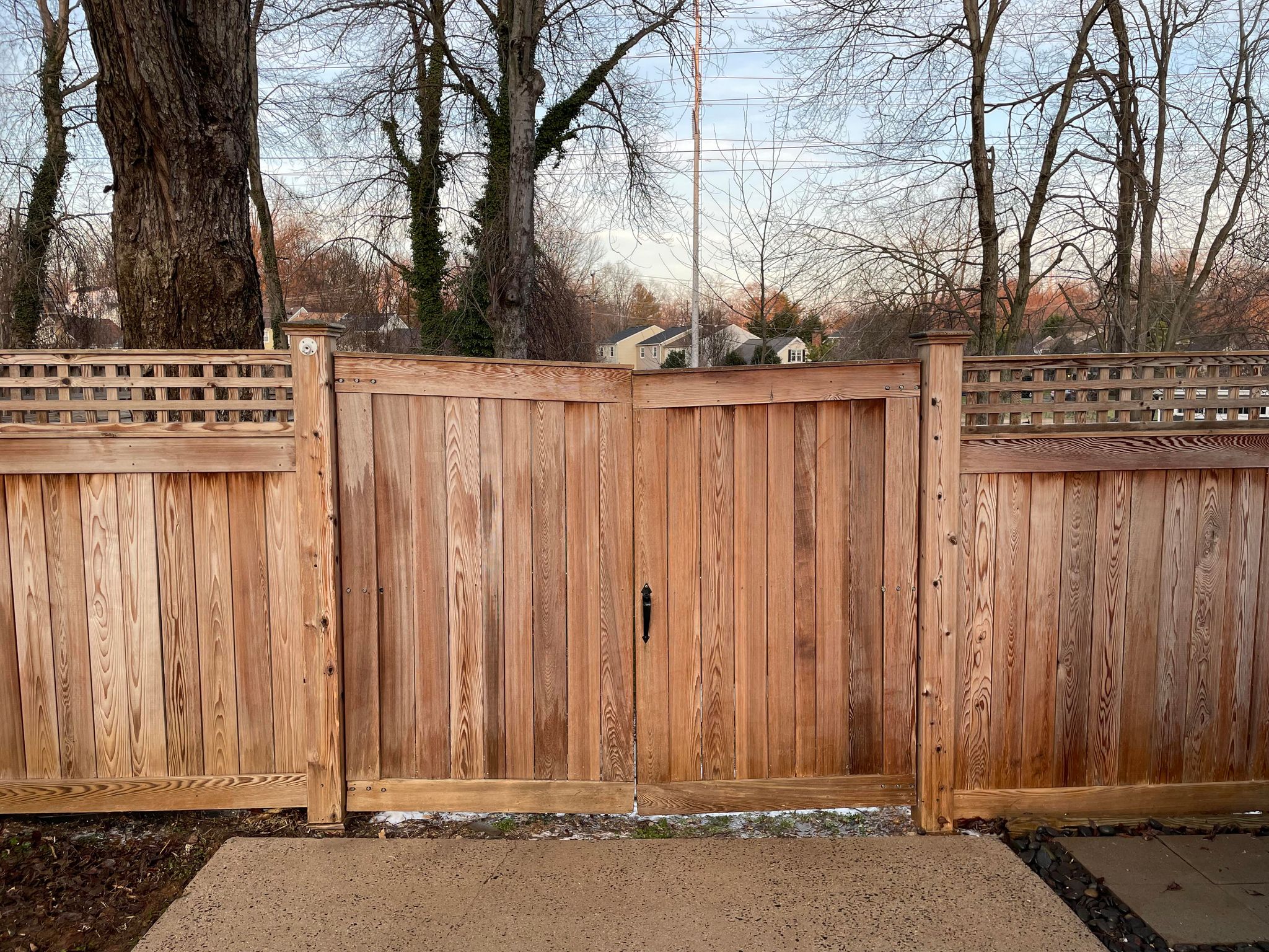 fence cleaning