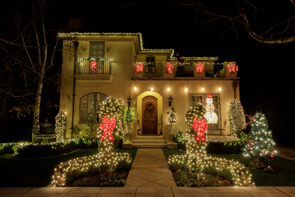 professional holiday light installation