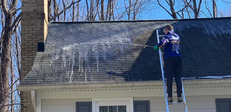 Reasons To Never Pass On Prioritizing Clean Gutters
