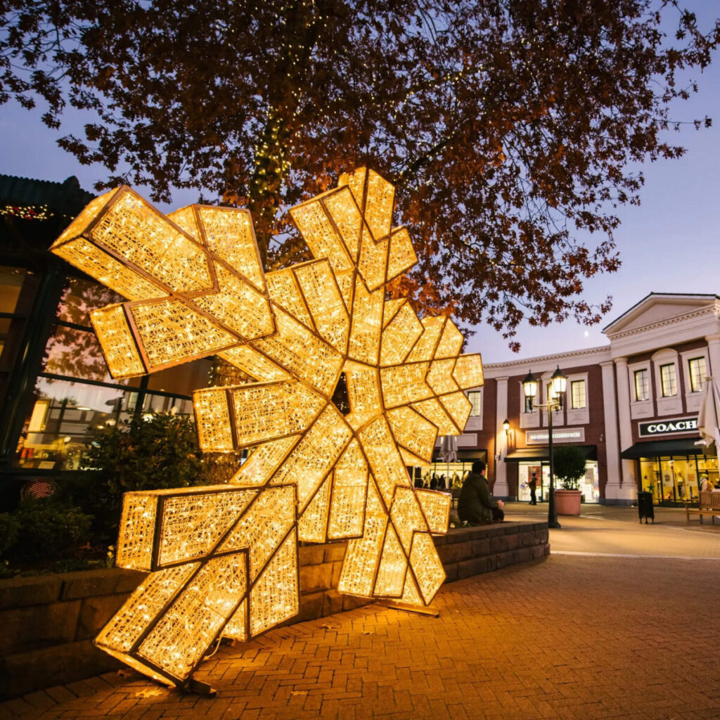 Commercial Christmas Light Installation Commercial Christmas Light Installation