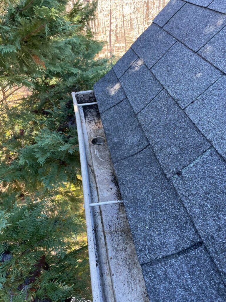 gutter cleaning