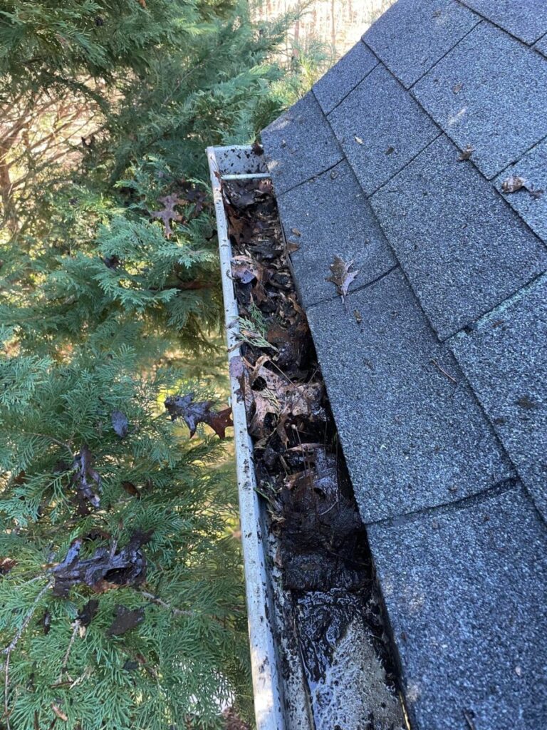 gutter cleaning