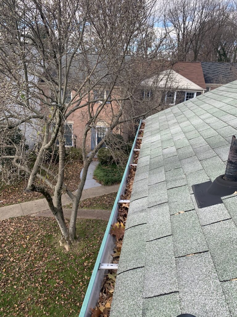 gutter cleaning
