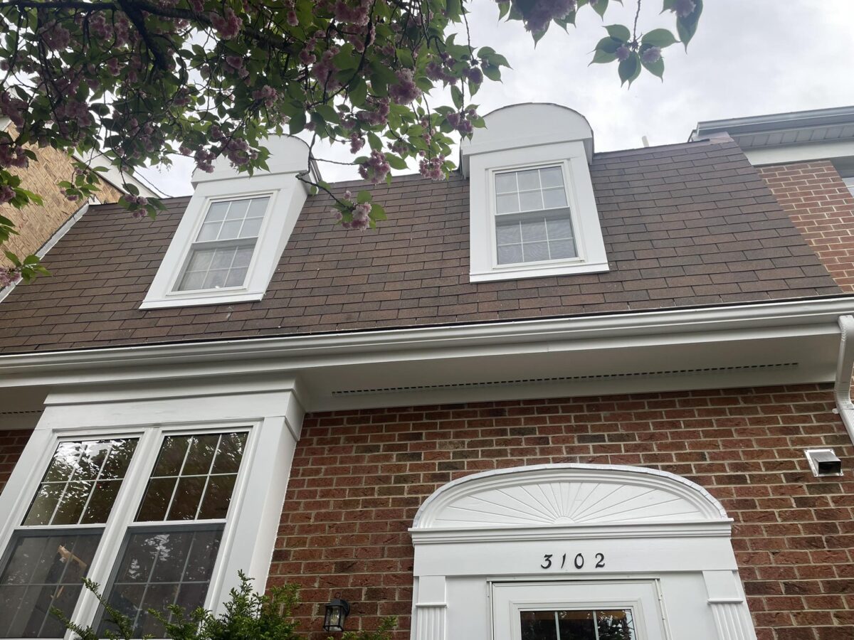 roof cleaning
