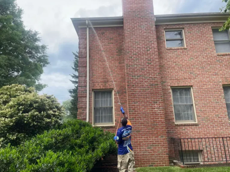 How Regular Soft Washing Can Prevent Mold and Mildew