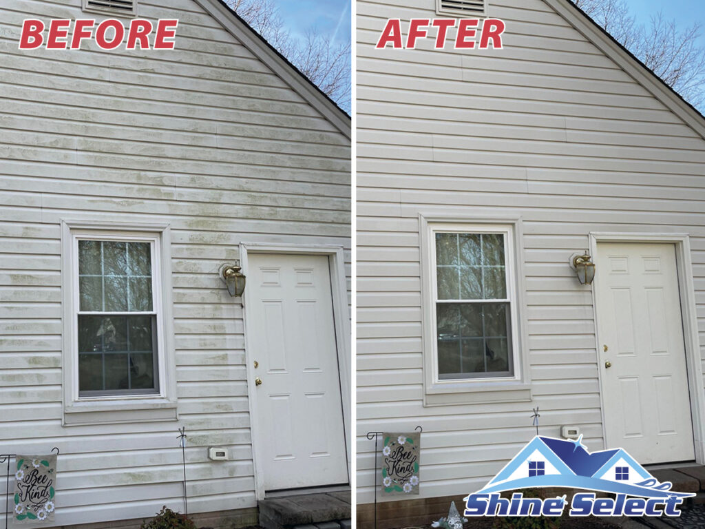 before and after house washing