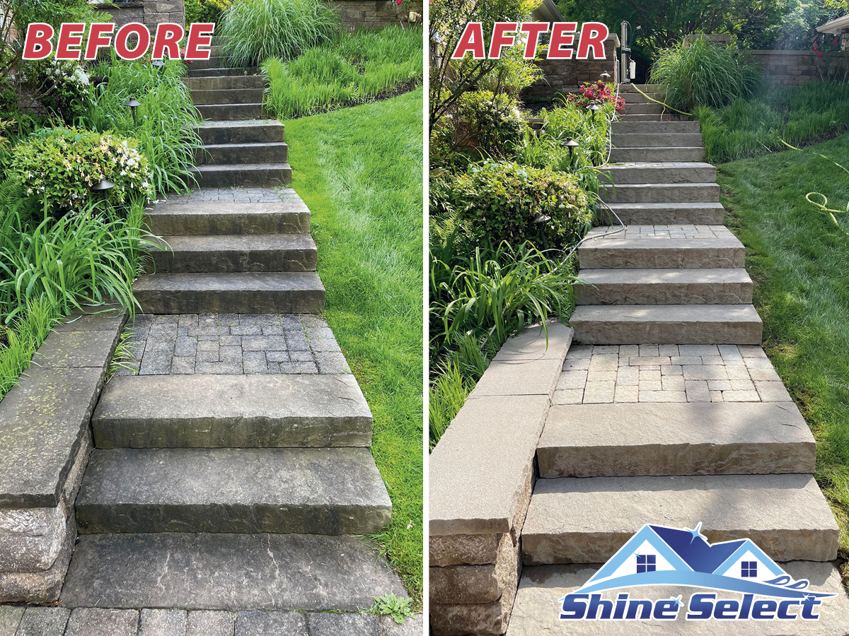 Professional Deck And Concrete Cleaning Service