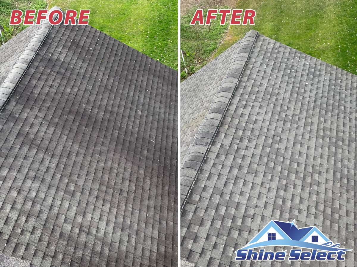 Professional Roof Cleaning And House Washing Service