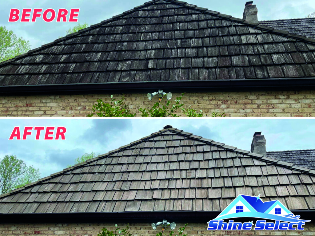 Roof cleaning