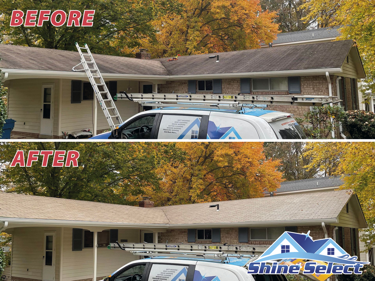 Roof cleaning