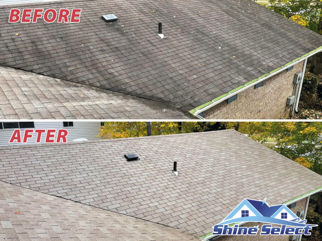 Roof cleaning