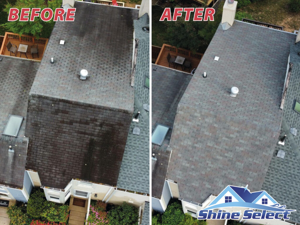 Top Rated Soft Washing In Virginia, Washington DC And Maryland Area Top Rated Soft Washing In Virginia, Washington DC And Maryland Area