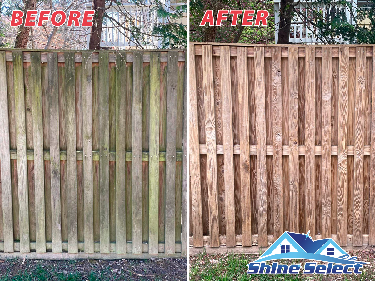Professional Deck And Fence Cleaning - Shine Select Deck and fence cleaning
