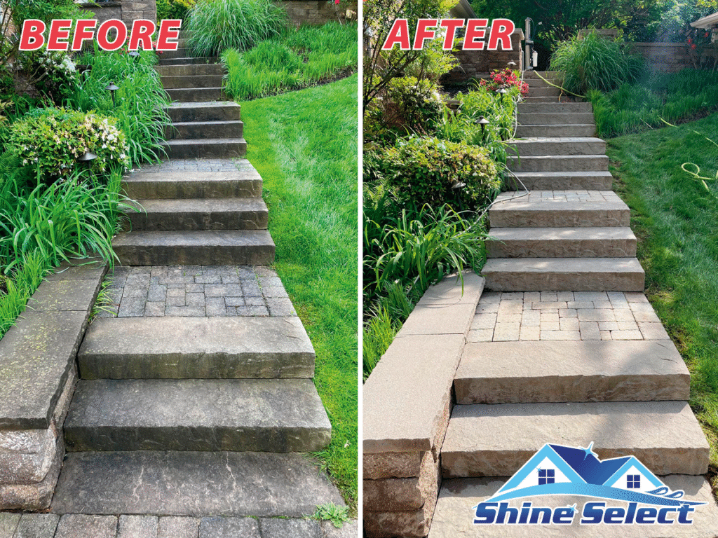 Professional Deck And Concrete Cleaning Service Concrete