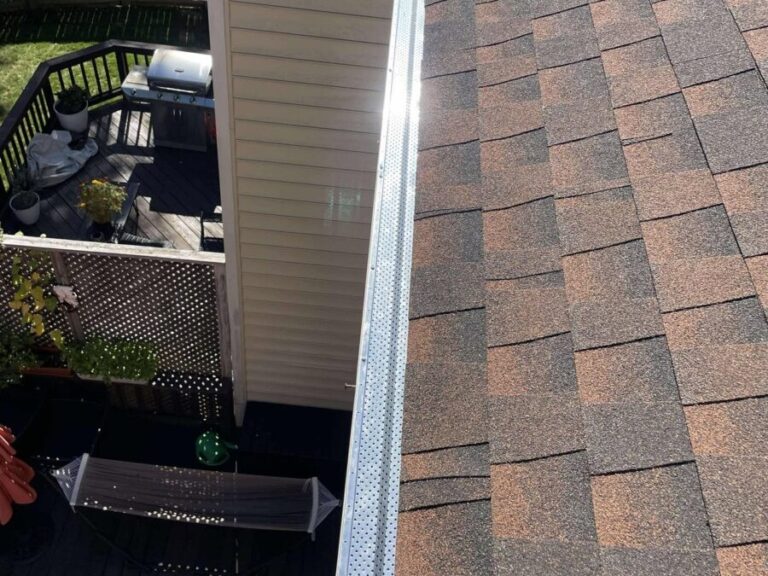 gutter cleaning