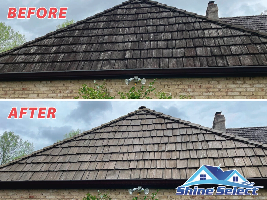 Top Rated Roof Washing In Virginia, Washington DC And Maryland Area
